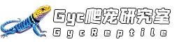 Gyc爬宠实验室